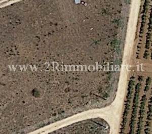 Terreno Agricolo In Vendita a Mazara del Vallo