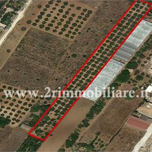 Terreno Agricolo In Vendita a Mazara del Vallo