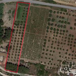 Terreno Agricolo In Vendita a Mazara del Vallo