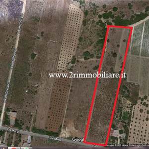 Terreno Agricolo In Vendita a Mazara del Vallo