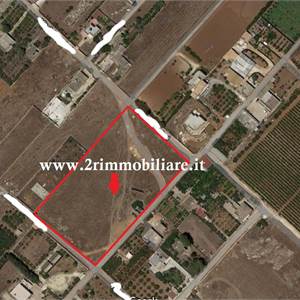 Terreno Agricolo In Vendita a Mazara del Vallo