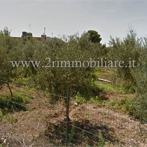 Terreno Agricolo In Vendita a Mazara del Vallo