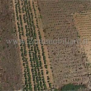 Terreno Agricolo In Vendita a Mazara del Vallo