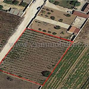 Terreno Agricolo In Vendita a Mazara del Vallo