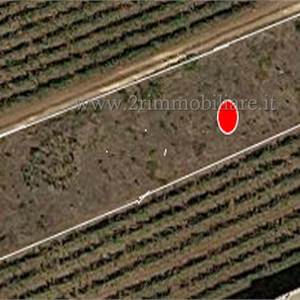 Terreno Agricolo In Vendita a Mazara del Vallo