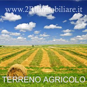 Terreno Agricolo In Vendita a Mazara del Vallo